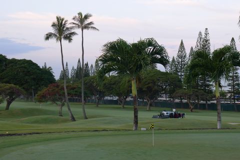 hawainavi02.jpg