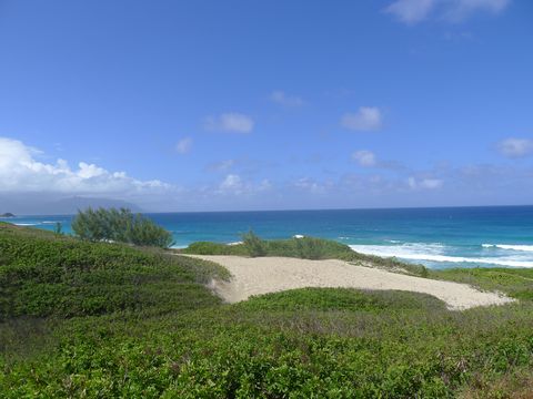 hawaiteeground-010.jpg
