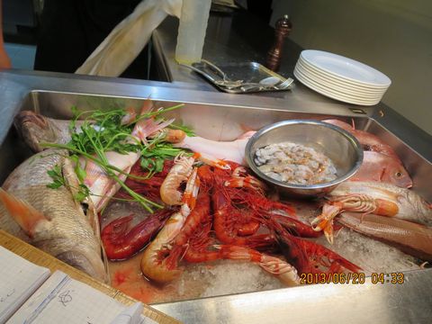 pesce-giaccio-1.jpg